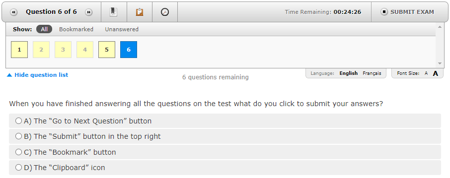 replacement_exam_interface_screenshot